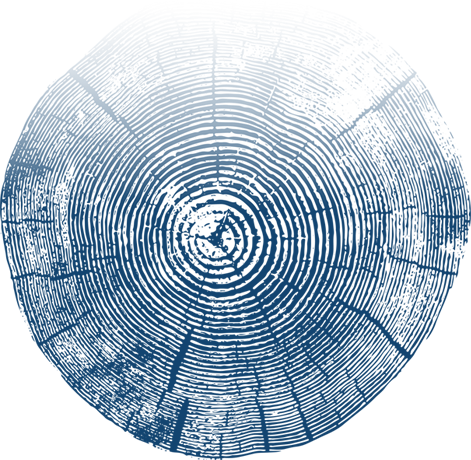 Castellan-Group-Tree-Rings