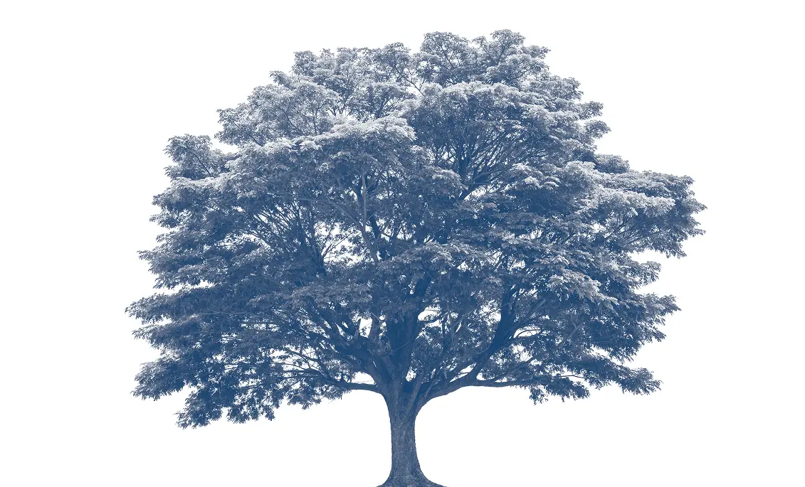 Castellan-Group-tree